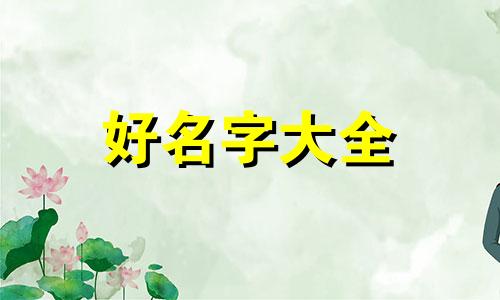 毛猫咪如何起名字大全两个字