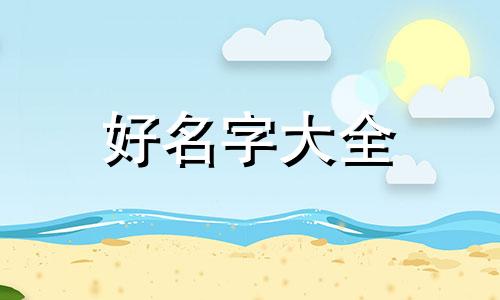 如何用数学名词起名字教案设计
