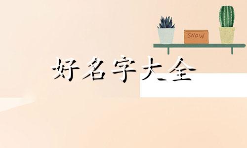 优雅服装店一般如何起名字