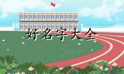 如何给鸟画起名字好听一点
