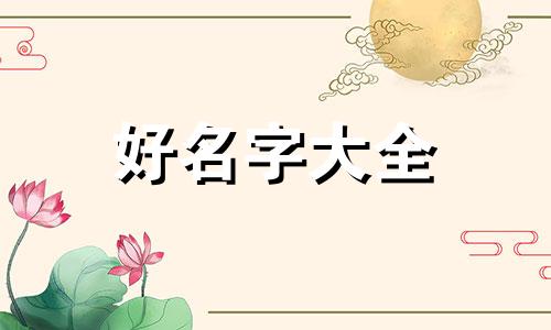 中国航天器如何起名字的