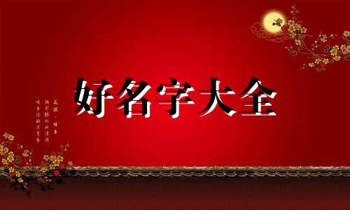 如何给一只小橘猫起名字