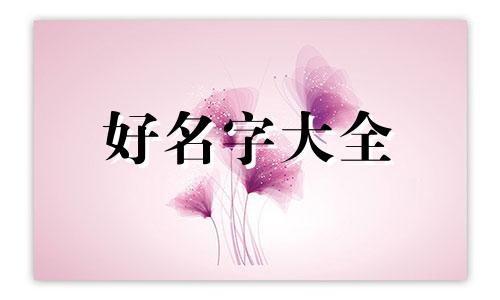 如何给狼起名好听一点女生