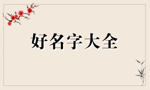 如何跟一个男孩起名字呢