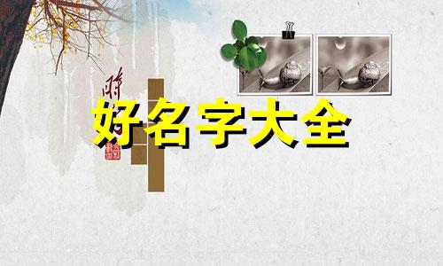 如何用词语给双胞胎起名字