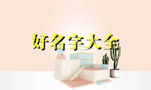 我是卖百货的如何起名字