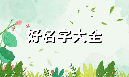如何给布偶起名字好听一点