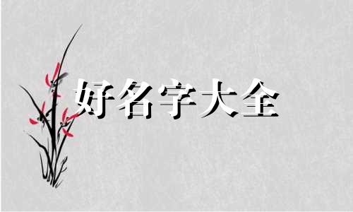 鞋袜类如何起名字女生两个字