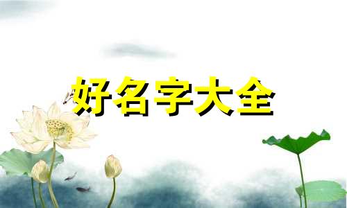 如何给九号起名字好听一点