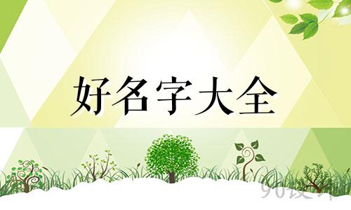如何给鹰隼起名字四个字