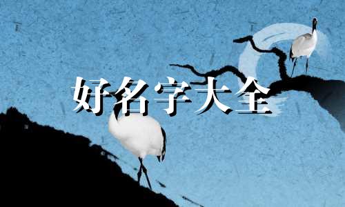 五行缺金木该如何起名字
