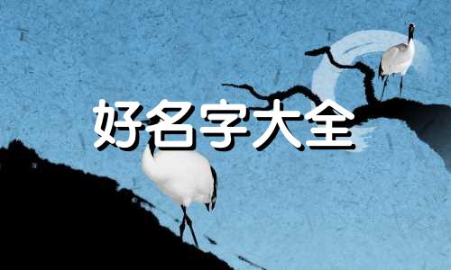 无人机如何起名称好听点的