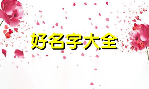内裤店如何起名字女士两个字