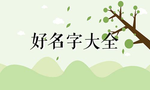 百家号如何起名字吸引人