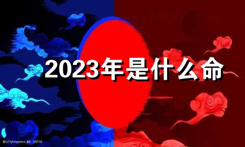 2023年是什么命  2023出生的人命运如何