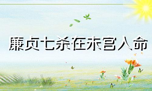 廉贞七杀在未宫入命  廉贞七杀在未宫入命好不好