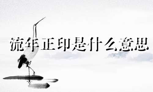 流年正印是什么意思  流年正印代表什么