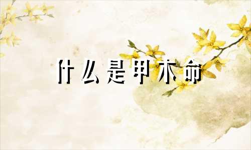 什么是甲木命  甲木命的人适合干什么职业?