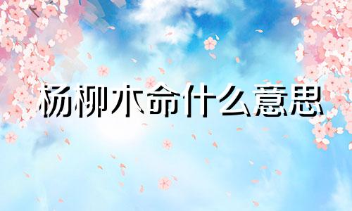 杨柳木命什么意思  杨柳木命的人适合做什么工作