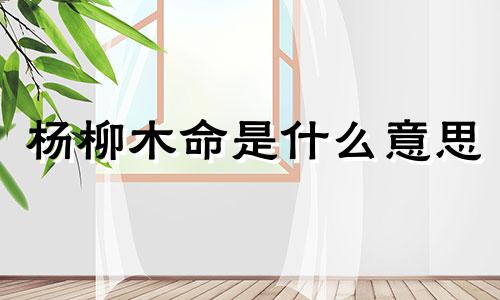 杨柳木命是什么意思  杨柳木命命运吉凶解析