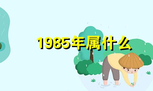 1985年属什么  1985年出生属牛的人2024年事业运势
