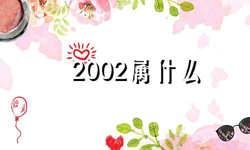 2002属什么  2002年出生的生肖适合的属相婚配