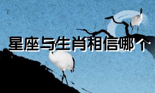 星座与生肖相信哪个