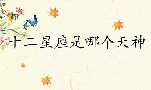 十二星座是哪个天神