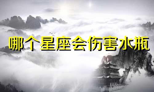 哪个星座会伤害水瓶