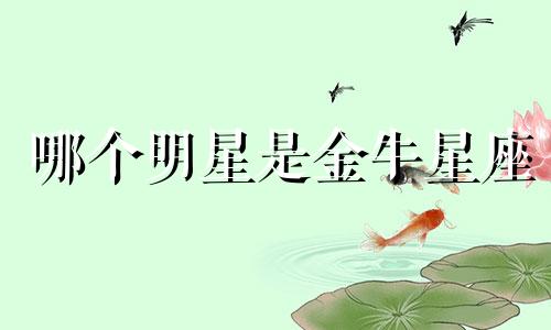 哪个明星是金牛星座