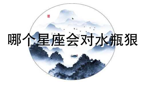 哪个星座会对水瓶狠