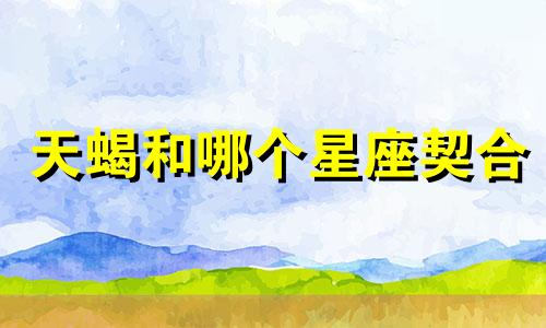 天蝎和哪个星座契合