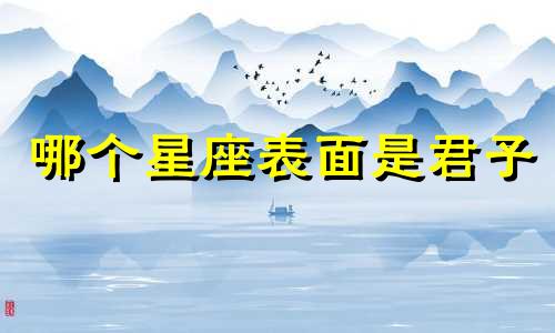 哪个星座表面是君子