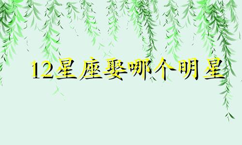 12星座娶哪个明星