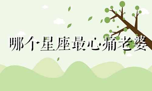 哪个星座最心痛老婆