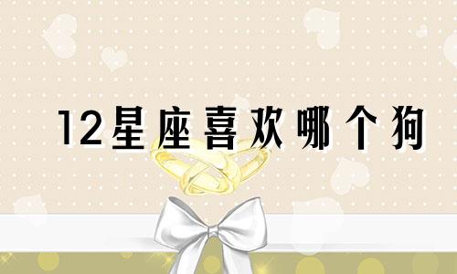 12星座喜欢哪个狗