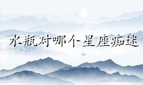 水瓶对哪个星座痴迷