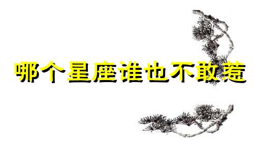 哪个星座谁也不敢惹