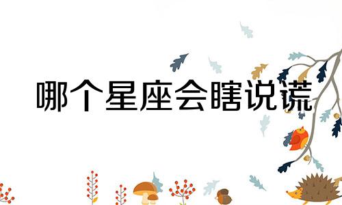 哪个星座会瞎说谎