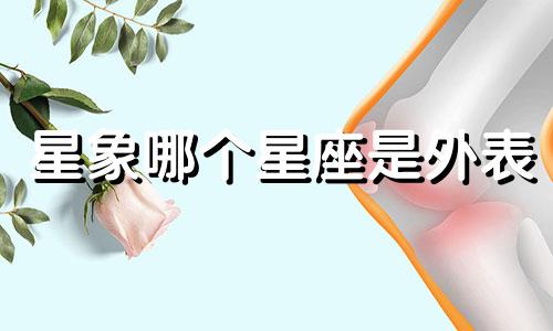 星象哪个星座是外表