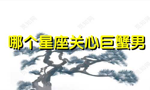 哪个星座关心巨蟹男