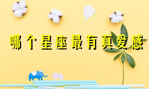 哪个星座最有真爱感