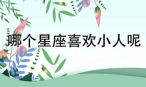 哪个星座喜欢小人呢