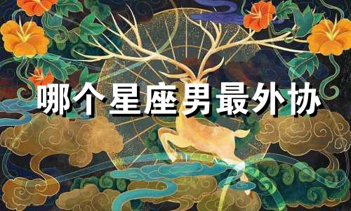 哪个星座男最外协