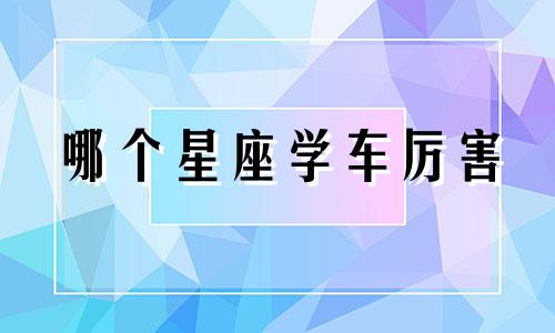 哪个星座学车厉害