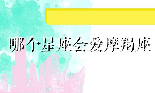 哪个星座会爱摩羯座