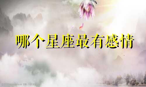 哪个星座最有感情