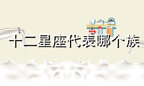 十二星座代表哪个族