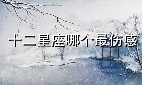 十二星座哪个最伤感