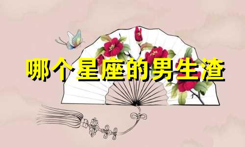 哪个星座的男生渣